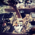 IN C at the Hammer Museum.