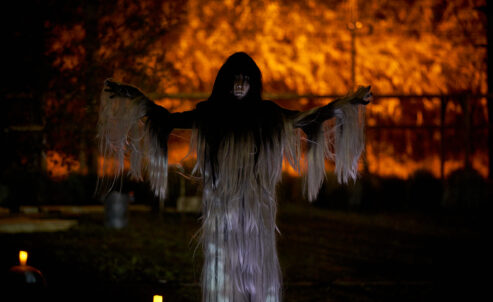 SWEET LAND_DRESS__0187